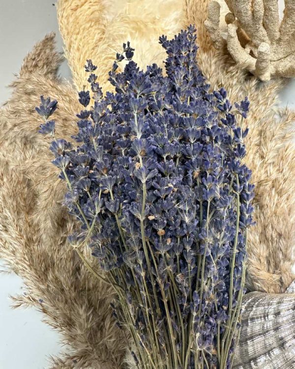 French lavender purple - Image 3