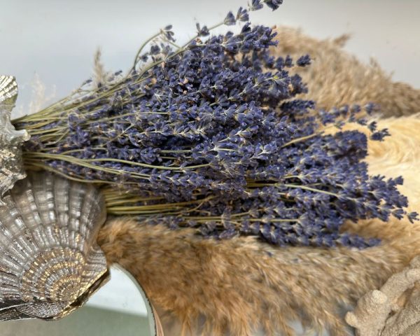 French lavender purple - Image 2