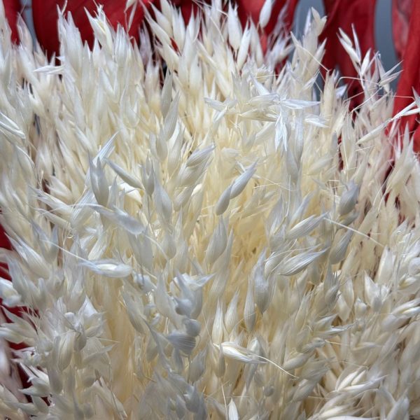 Oat white - Image 2