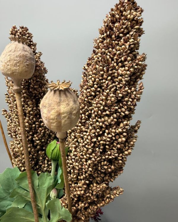 Sorghum natural