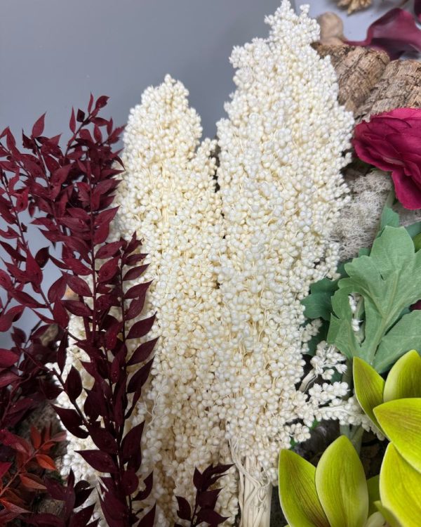 Sorghum white - Image 2