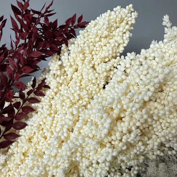 Sorghum white